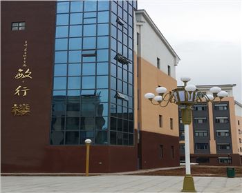 學校庭院景觀燈-陜西省寶雞高新一中路燈工程